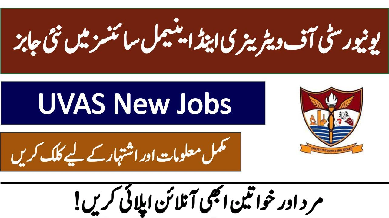 University Of Veterinary & Animal Sciences (UVAS) Jobs 2024-25 Apply Now