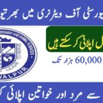 Cholistan University Of Veterinary And Animal (CUVAS) Jobs 2024 For Research Posts