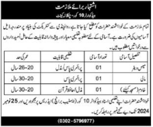 Latest Rawalpindi Medical University (RMU) Jobs 2024