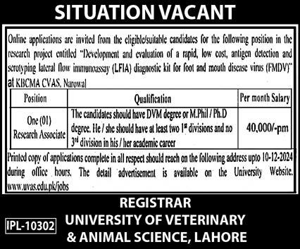 University Of Veterinary & Animal Sciences (UVAS) Jobs 2024-25 Apply Now