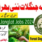 Forest Wildlife & Fisheries Department Jobs 2024 Apply Process