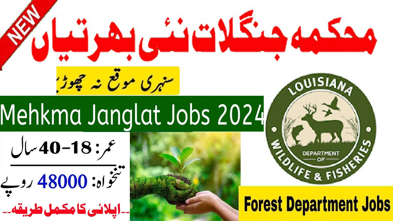 Forest Wildlife & Fisheries Department Jobs 2024 Apply Process