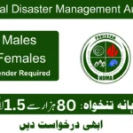 National Disaster Management Authority (NDMA) Jobs 2024 Apply Online