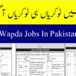 WAPDA Jobs