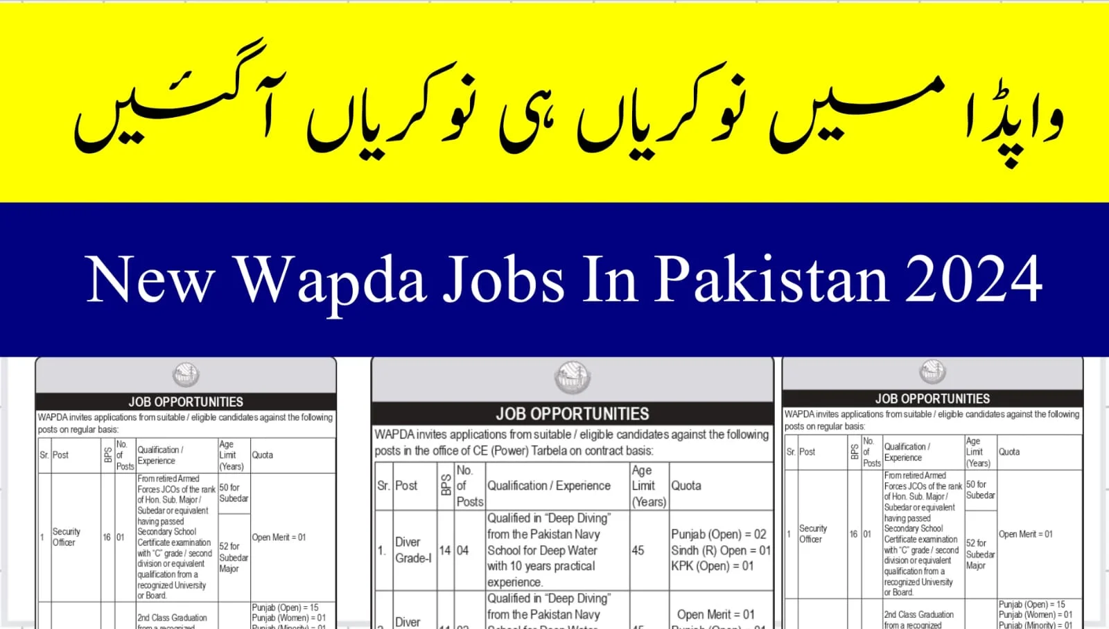 WAPDA Jobs