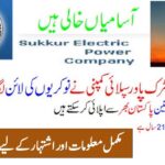 Latest Sukkur Electric Power Company (SEPCO) Jobs 2024-25