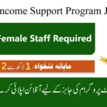 Benazir Income Support Programme (BISP) Jobs 2024 For Consultant Posts