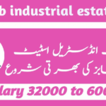 Punjab Industrial Estates Development (PIEDMC) Jobs 2024-25 - Management Posts