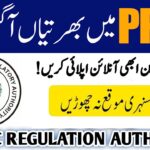 Public Procurement Regulatory Authority (PPRA) Jobs 2024-25 For Executive Posts