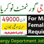 Energy Department (Solar Energy) Jobs 2024 For Consultant Posts