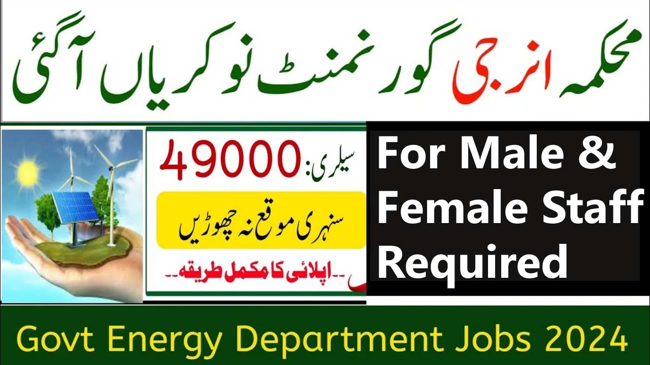 Energy Department (Solar Energy) Jobs 2024 For Consultant Posts