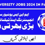 MNS University of Engineering and Technology