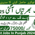 University Of Okara Jobs 2024-25 Apply Online Through uo.edu.pk