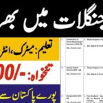 Punjab Wildlife & Parks Department Jobs 2024-25 Apply Now!