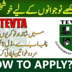 Technical Education & Vocational Training Authority (TEVTA) Jobs 2024/25